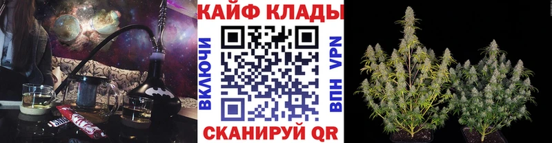 Где купить Александровское АМФ МАРИХУАНА Меф мяу мяу MEGA ONION Гашиш