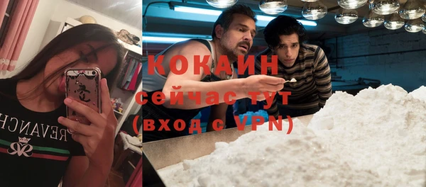 mix Новодвинск