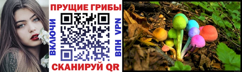 Псилоцибиновые грибы мухоморы  где можно купить   Александровское 